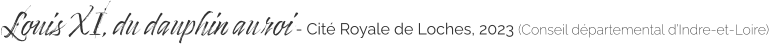 Louis XI, du dauphin au roi - Cité Royale de Loches, 2023 (Conseil départemental d’Indre-et-Loire)